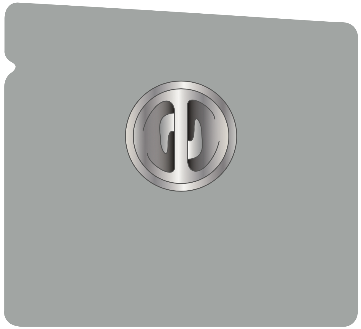 PIN'S